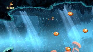 Un groupe de poissons-globes.