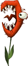 Tulipe