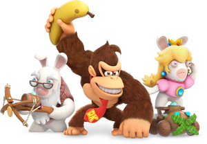 Rabbidpeachanddonkey.png