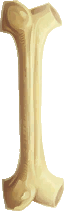 File:Bone.png