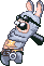 Rabbid guard
