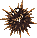 Urchin