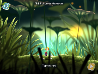 Mushrooms in the background in the Swamp