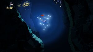 Swimming with Stars 6.jpg