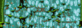 Thumbnail for version as of 14:12, 26 January 2021