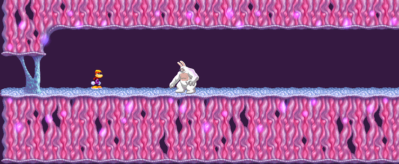 The level