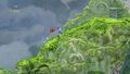 Thumbnail for version as of 15:26, 15 March 2017