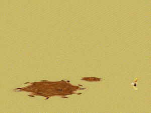 Mudi02-1-.gif