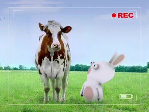 RRR Cow Trailer.jpg