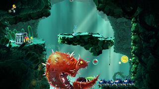 Carnivora pursuing Assassin Ray