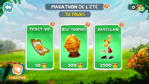 RA Marathon Shop FR.PNG