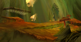 Mushrooms seen growing in the Canopy.
