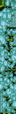 Thumbnail for version as of 14:12, 26 January 2021