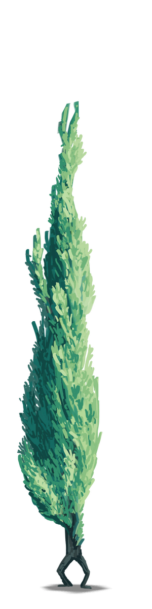 RL Cypress.png