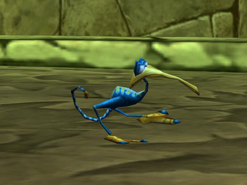 File:Bird Xowar.JPG