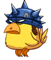 A helmet bird