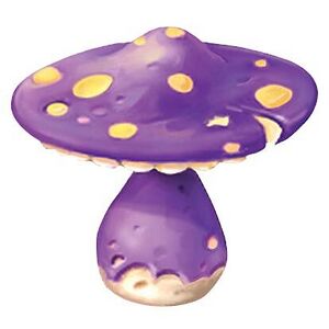 R1 site mushroom.jpg