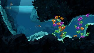 A group of friendly fish.