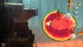 Thumbnail for version as of 13:59, 20 September 2014