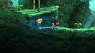 Two normal turnips in the Jibberish Jungle.