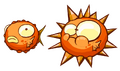 A blowfish