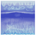 Texture of what in the gamefiles is called Zaqoas