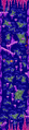 Thumbnail for version as of 14:12, 26 January 2021