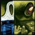 The texture of the Snorty's body