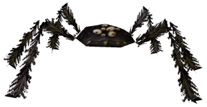 Small spider.png