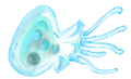 Thumbnail for version as of 21:30, 27 March 2014