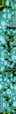 Thumbnail for version as of 14:12, 26 January 2021