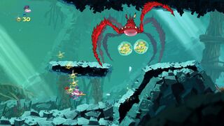 The pink bubo is the spider crab's weakness.