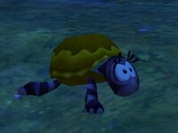 Tortoise