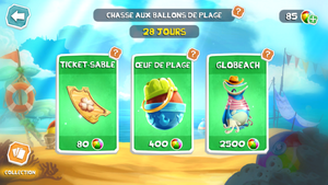RA Summer Shop FR.PNG