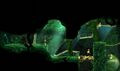 Thumbnail for version as of 19:20, 13 April 2023