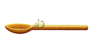 Spoon