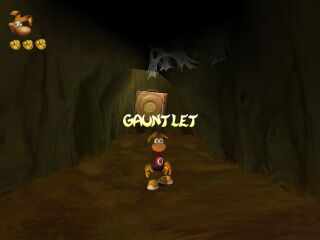 The cheat activated in the Canopy.