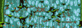 Thumbnail for version as of 14:12, 26 January 2021