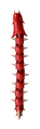 Thumbnail for version as of 19:53, 7 March 2017