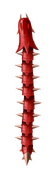 Detailed view of a spiky snake from Olympus Maximus